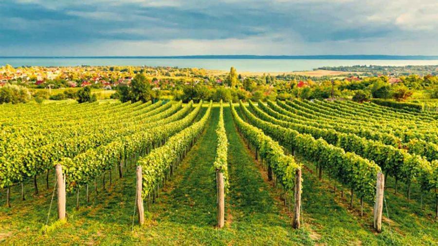 Silver Delux Apartman Balatonfüred Esterno foto